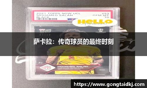 乐盈VI官网