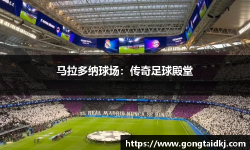 乐盈VI官网登录入口