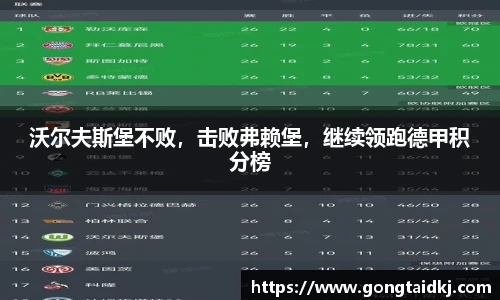 乐盈VI官网
