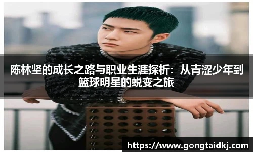 乐盈VI官网登录入口