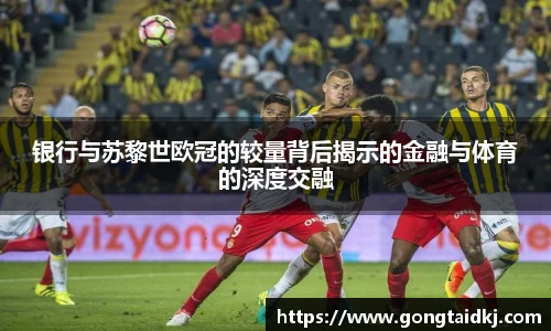 乐盈VI