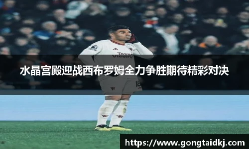 水晶宫殿迎战西布罗姆全力争胜期待精彩对决